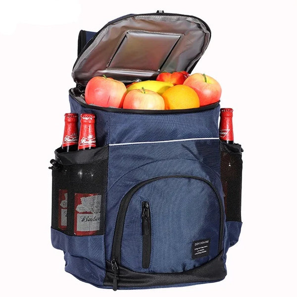 Compact insulated cooler bag beach backpack