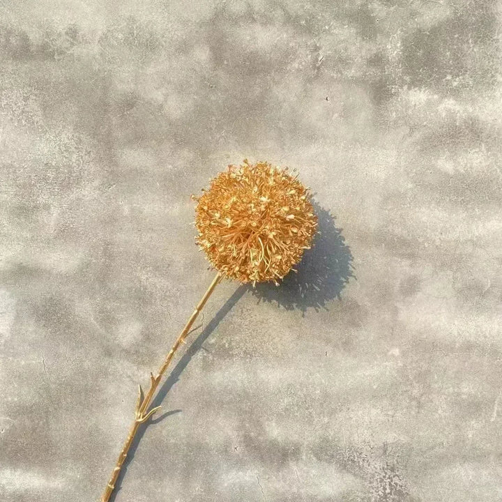 45222007570698