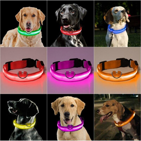 LED USB glowing dog collar