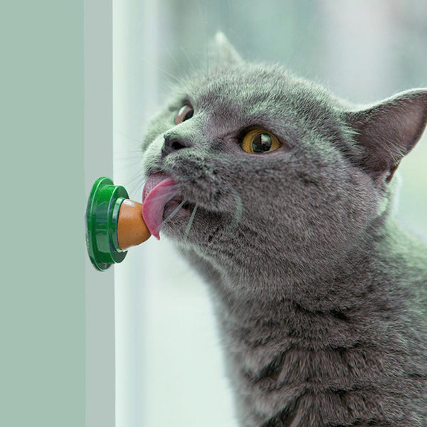 Cat Snack Wall Ball Dietary Supplement Catnip