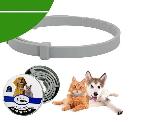 Collar-Protect Anti Ticks & Fleas Cat and Dog Collar