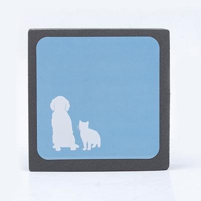 pet hair cleaning sponge