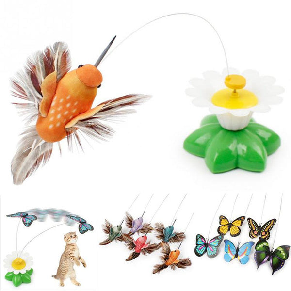 Interactive cat toy (sharpens hunting instinct and senses)